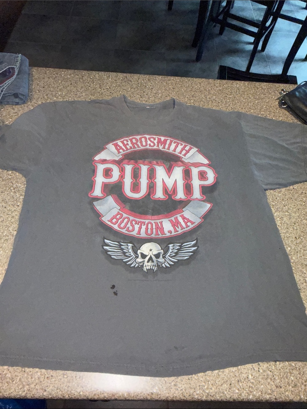 Aerosmith "Pump" Graphic Tee